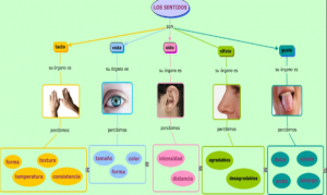 mapas conceptuales