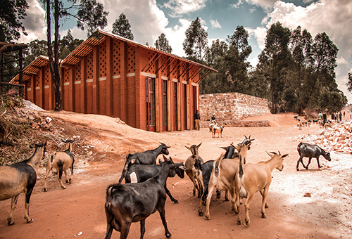 La Biblioteca de Muyinga